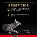 Comida para Gatos Adultos cuidado urinario Purina Pro Plan x 3 kg