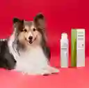 Lookpet Shampoo Baño Seco Para Perro 6 En 1 - 220ml