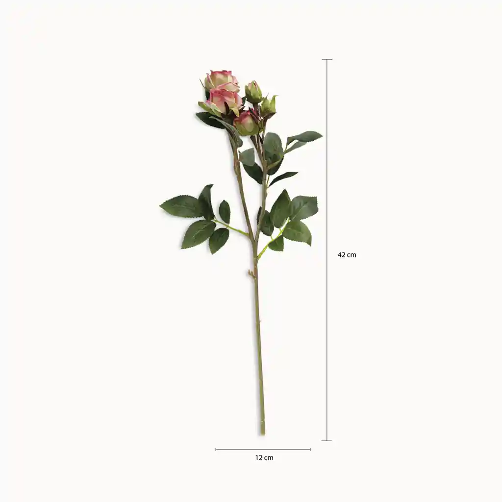 Ambiente Gourmet Flor Mini Rosas