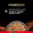 Comida para perro Purina Pro Plan Veterinary Diets NF Enfermedad Renal x 2kg