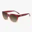 Knockaround Gafas Songbirds Rojo