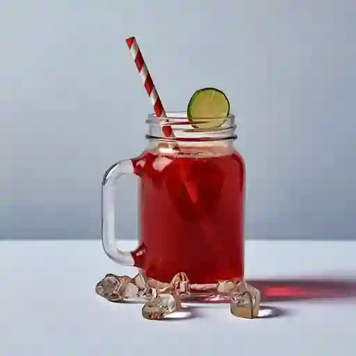 Aguas Frescas Jamaica 300 ml