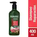 Bio Herbal Shampoo Reparación Infusiones Botánicas