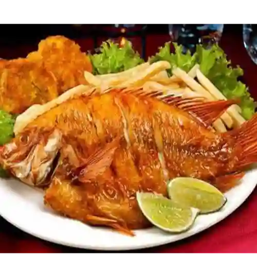 Mojarra Frita