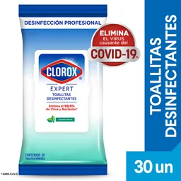 Toallitas Desinfectantes Clorox Expert Fresco Flowpack 30 un