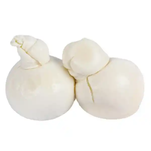 Dibufala Queso Burrata Premium