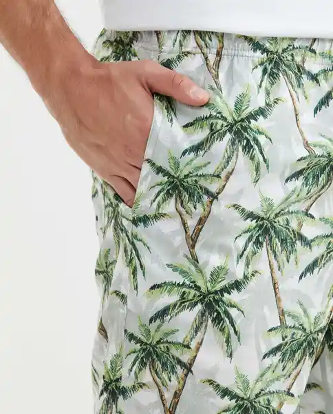 Traje Baño Palms Escarchado Claro Masculino Verde M Chevignon