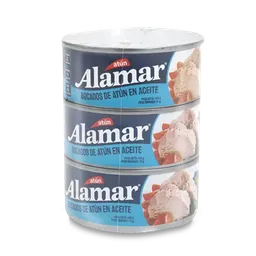 Alamar Bocado Atún en Aceite