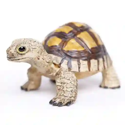 Safari Figura Coleccionable Tortuga Terrestre
