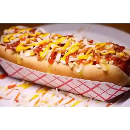 Perro Especial
