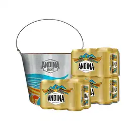 Andina Pack Cerveza + Balde