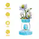 Bloques Mini Flores Familia Narcissus Serie Mini Family Miniso
