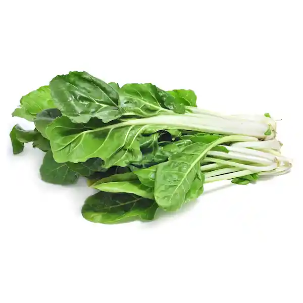 Acelga
