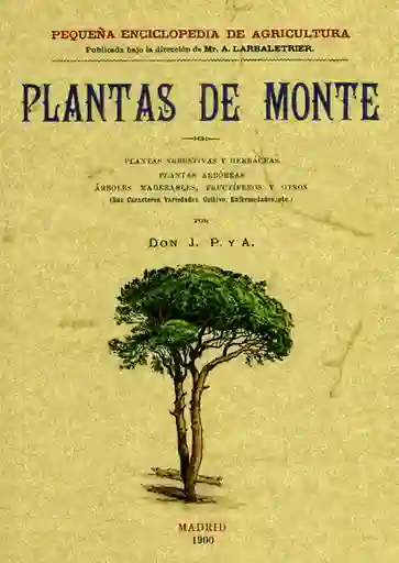Plantas de Monte