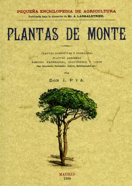 Plantas de Monte