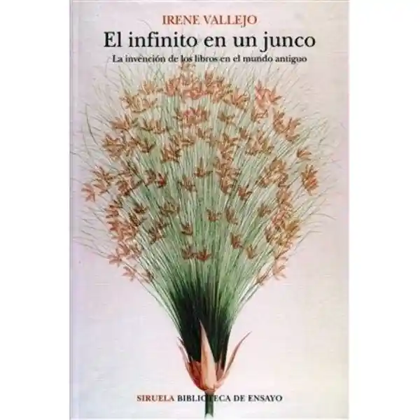 Infinito Elen Un Junco