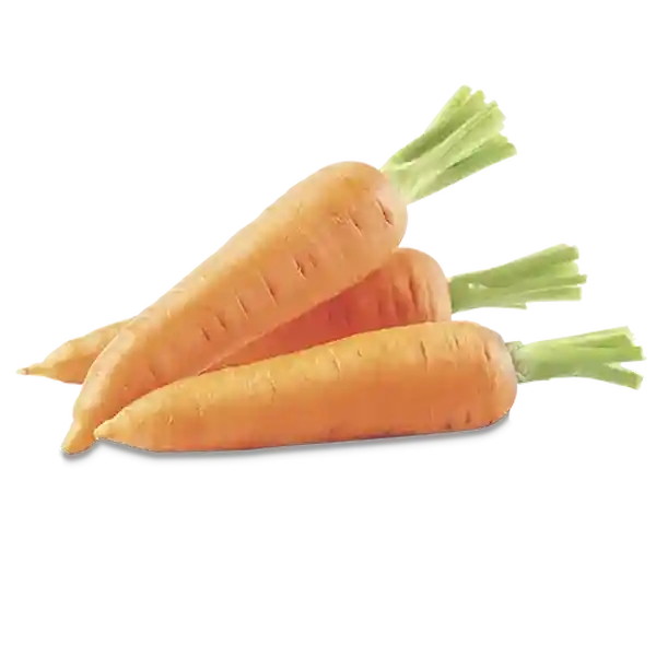 Zanahoria
