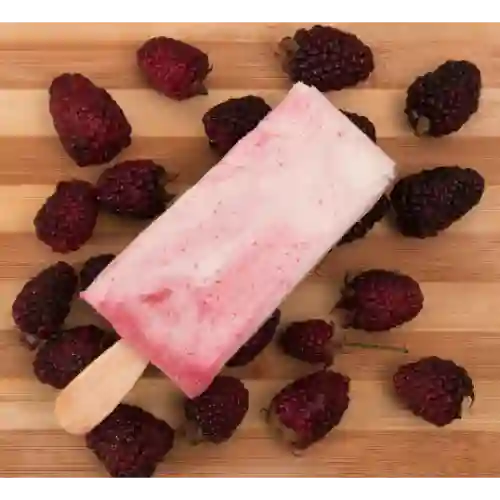 Paleta Cremosa de Yogurt de Mora