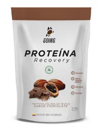 Going Proteinasabor Chocolate X 600G