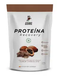 Going Proteinasabor Chocolate X 600G