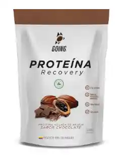 Going Proteinasabor Chocolate X 600G