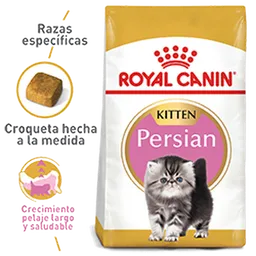 Royal Canin Alimento para Gatito Persa