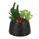 Casaideas Maceta Cactus Redonda Diseño 0001