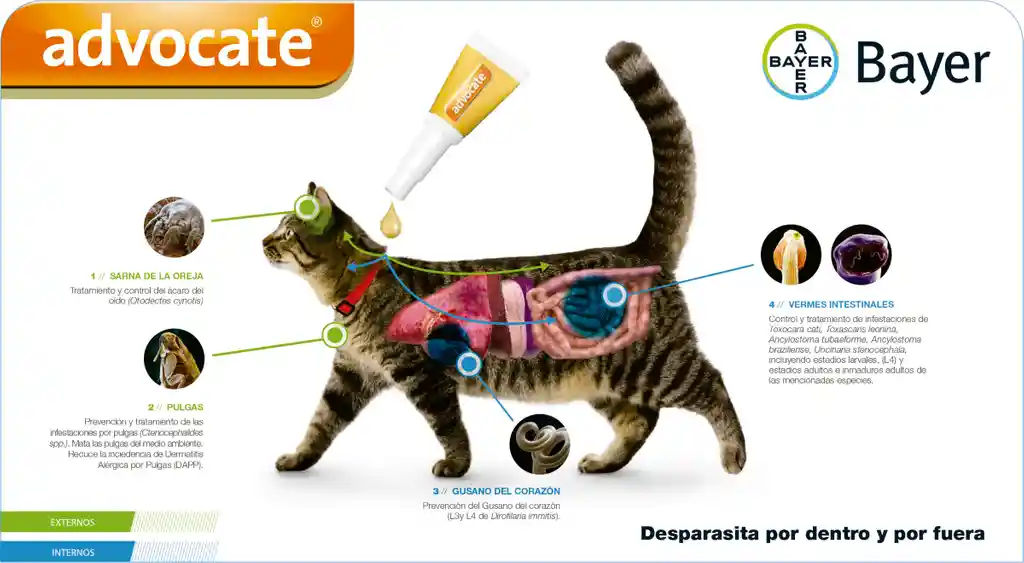 Advocate Antiparasitario para Gato