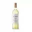 Trapiche Vino Blanco Sauvignon Blanc