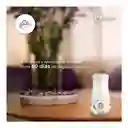 Glade Aceite Natural Mood Collection Relaxing Lavender 21 mL