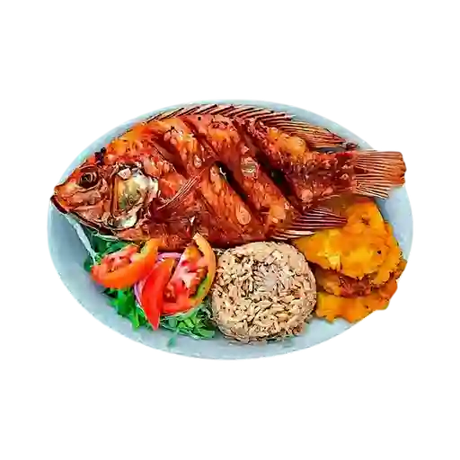 Mojarra