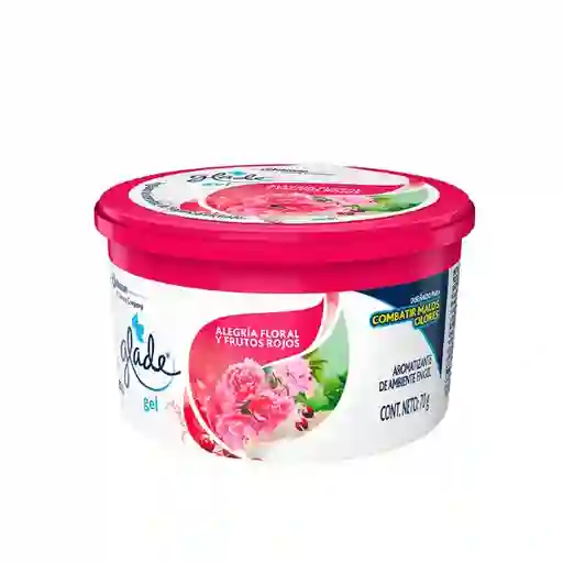 Glade Aromatizante de Ambientes