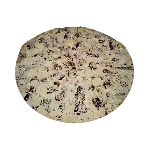 Pizza de Pollo y Champiñón Médium