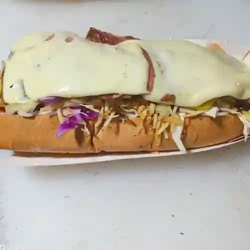 Perro Especial