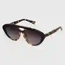 Tiwi Gafas Kabukki Tortoise