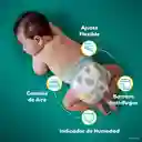 Pampers Pañal Desechable Baby Dry Etapa 3 32 Und