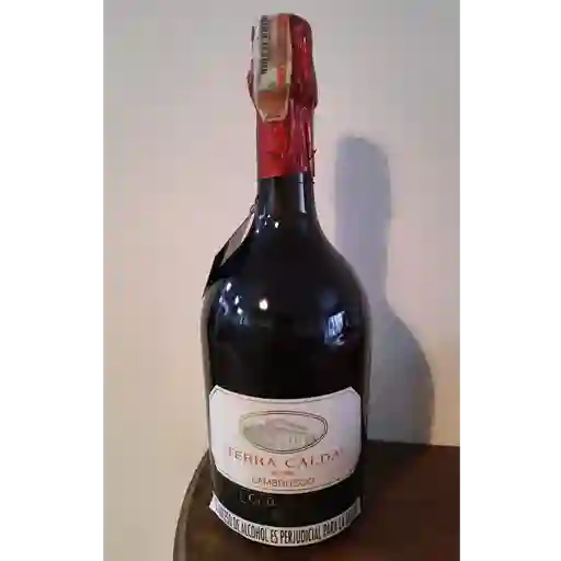 Vino frizzante lambrusco rojo 750 ml