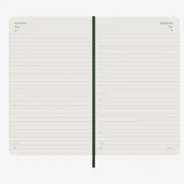 Moleskine Agenda Diaria Verde Grande Sc 2026