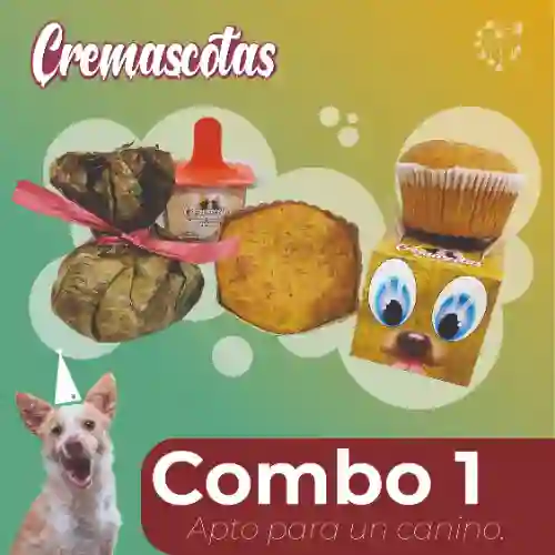 Combo 1