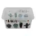 Great Plastic Caja Organizadora 4344 Cactus 8 L