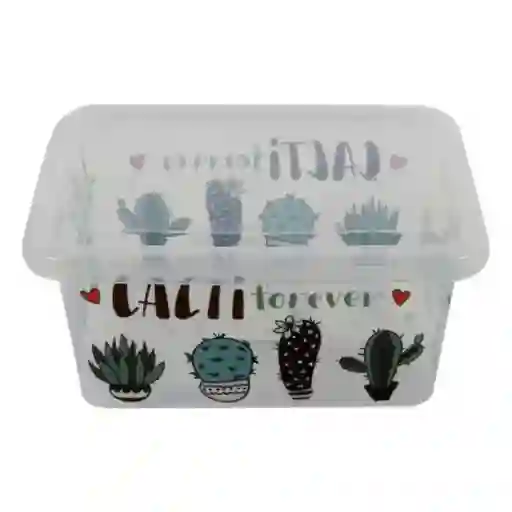 Great Plastic Caja Organizadora 4344 Cactus 8 L