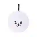 Esponja de Baño Doble Cara Baby rj Serie Bt21 Miniso