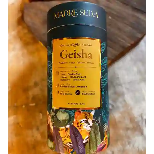 Café Geisha Cilindro