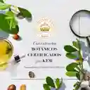Herbal Essences Acondicionador Reparador Aceite Argán de Marruecos