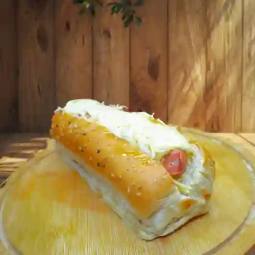 Perro Americano