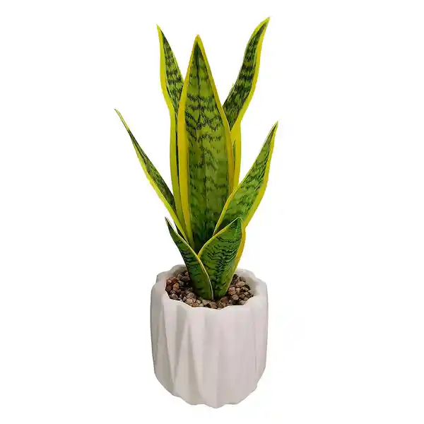 Outzen Sansevieria Artificial Maceta Blanco