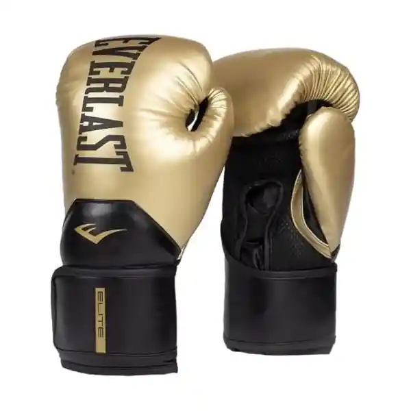 Guantes de Boxeo Elite 2 Gl/Bk Everlast