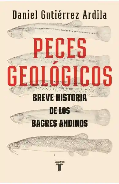 Peces Geológicos - Daniel Gutiérrez Ardila