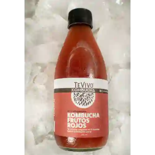 Tevivo Kombucha Frutos Rojos