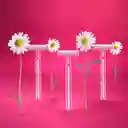 Prestobarba Gillette Daisy Maquina de Afeitardesechable Mujer